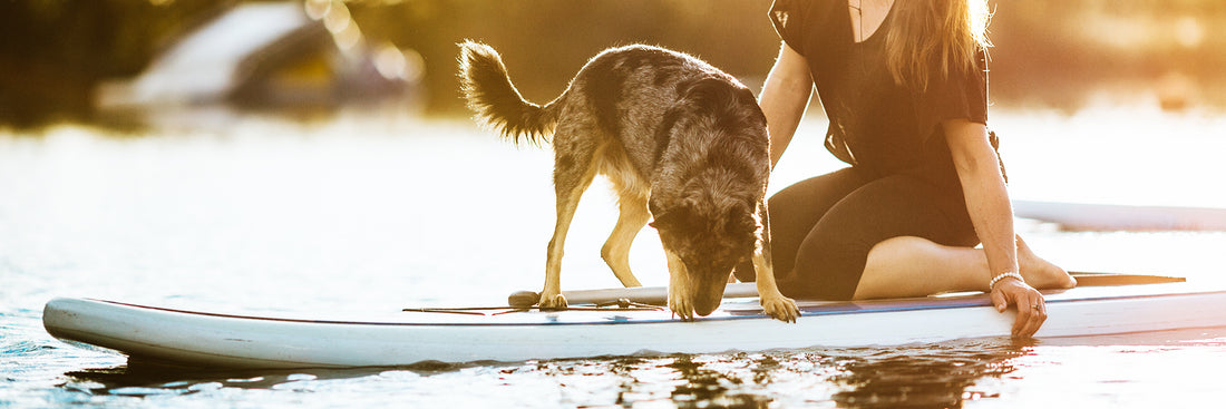 How to Exercise Like an Austinite
